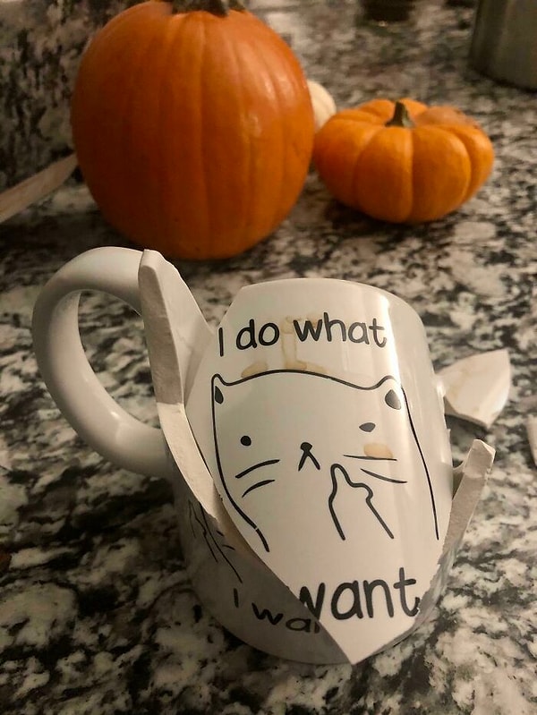 4. Угадайте, какое животное небрежно столкнуло эту кружку со стола