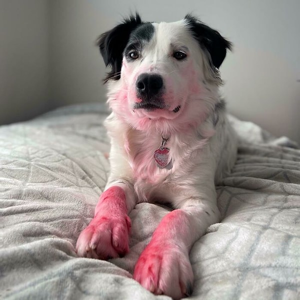 5. Не буду называть имен и тыкать пальцем, но похоже, что кто-то съел мамину помаду