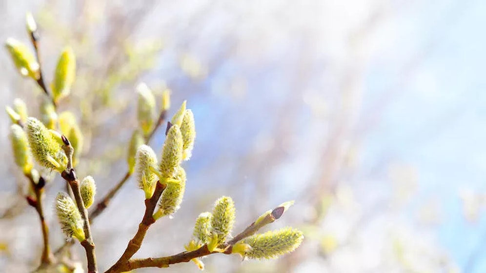 2022 İlk Cemre Ne Zaman, Nereye Düşecek? Havalar Ne Zaman Isınacak? 2022 Cemre Düşme Tarihleri!