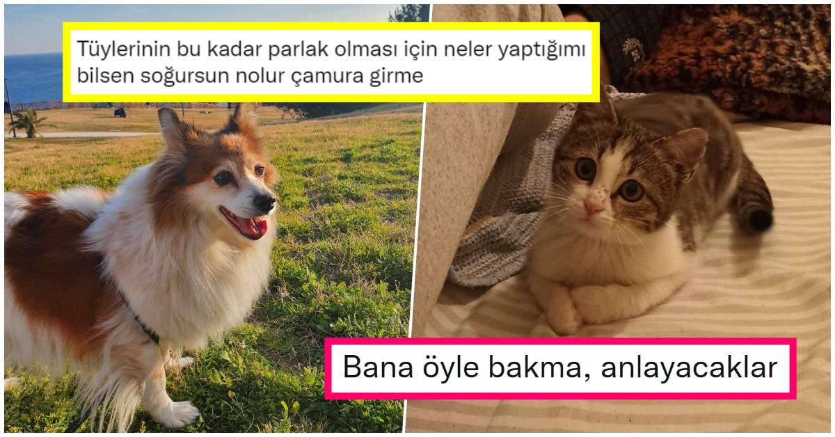 s-b1ad138d50ae7747e6ab90980be44833a0c76bdd.jpg