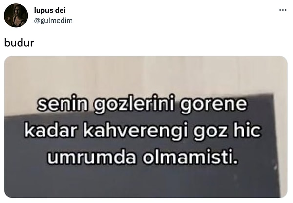 1. Ah be, böyle sevenimiz olmadı...