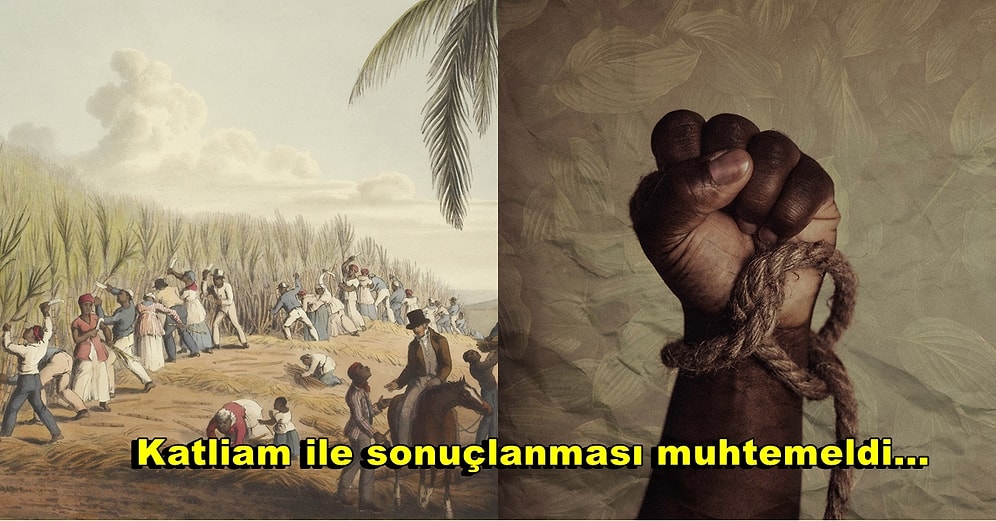 Tarihin Tanık Olduğu En Acımasız Dönemlerden Biri: Geçmişte Köleler Hiç İsyan Etti mi?