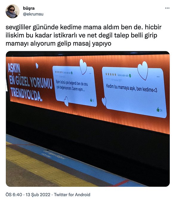 Kediler nasıl birden hayatlarımıza girip bizi kendine aşık etti ama... Sevgilisi olmayanlar sevgililer gününü kedi ile kutlayamaz mı? Tabii ki kutlar.