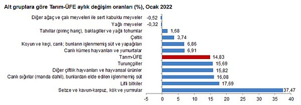 Aylık Tarım-ÜFE'ye göre 6 alt grup daha düşük, 5 alt grup daha yüksek değişim gösterdi