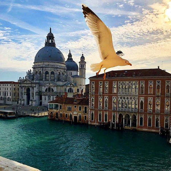 1. Venice, İtalya