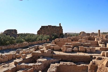 Yeni Buluntularla Mardin'deki Dara Antik Kenti'nin Zeytin Üretim ve Ticaret Merkezi Olduğu Ortaya Çıktı