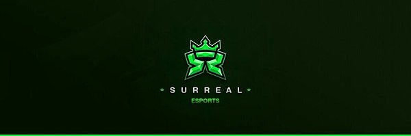 8. Surreal Esports