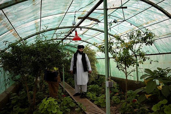 Faryab eyaletinin başkenti Maymana'nın belediye başkanı oldu