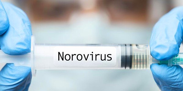 Norovirüs Nedir?