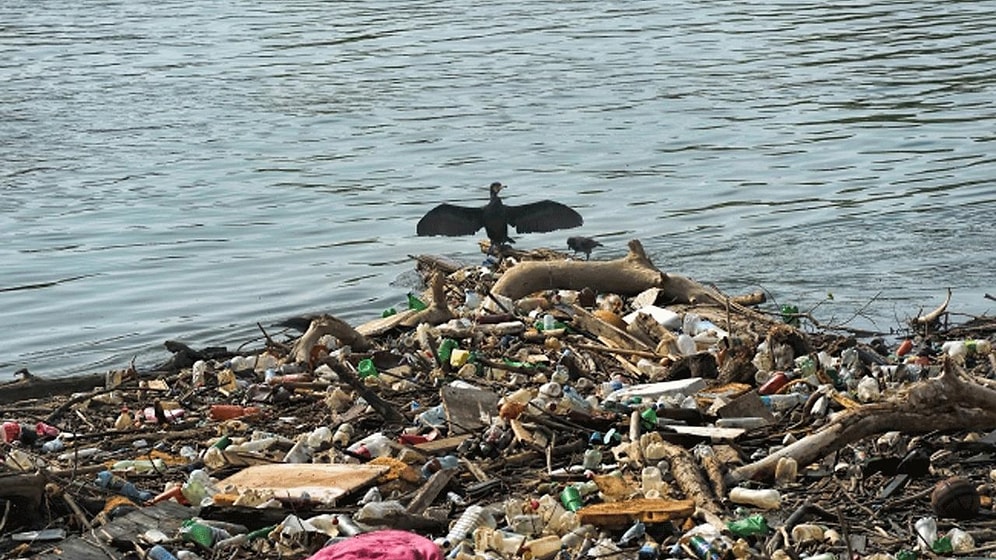 BM Çevre Kirliliğine Karşı Uyardı: Koronadan Daha Fazla Can Kaybına Neden Olabilir