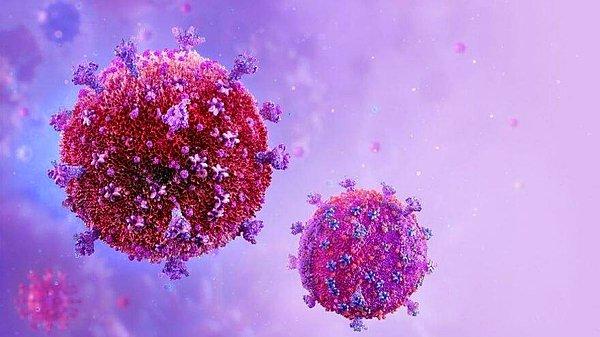 4. ABD’de yaşayan lösemi hastası bir kadın kök hücre nakli sonrası HIV’i atlatan ilk kadın oldu.