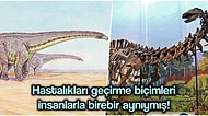Daha Önce Kanser Bile Oldukları Belirlenen Dinozorların Grip Olabildiği İlk Kez Kanıtlandı