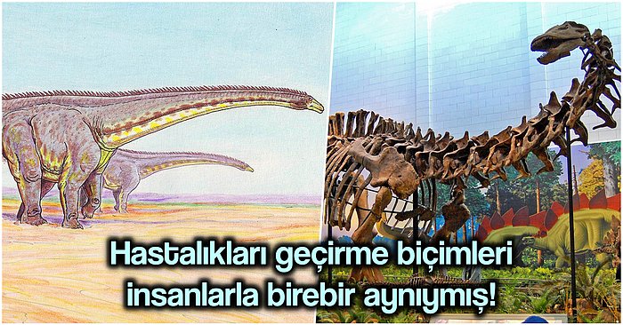 Daha Önce Kanser Bile Oldukları Belirlenen Dinozorların Grip Olabildiği İlk Kez Kanıtlandı