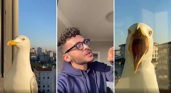 Ogün Alibaş ve Fenomen Martısından Esra Erol'da 'Bu Yaşta Dul Kalamam' Diyen Ceylan Taklidi