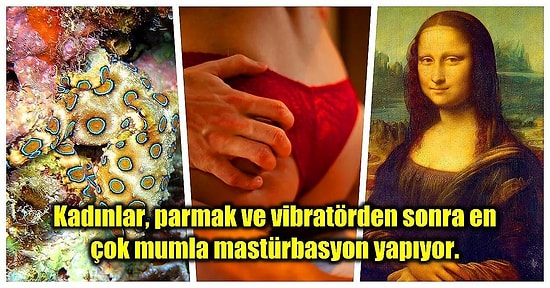 Öğrendikten Sonra Bilgi Dağarcığınızın Sınırlarını Zorlayacağınız Birbirinden İlginç Kültürel Bilgiler