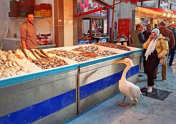 21. Asayiş berkemal!