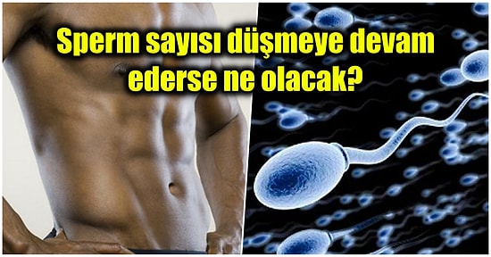 Dünya Nüfusu Tehlikede: Erkeklerin Sperm Sayısı Üzerine Yapılan Araştırmanın Sonuçları Endişelendirdi!