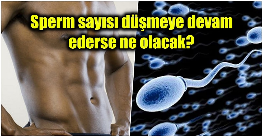 Dünya Nüfusu Tehlikede: Erkeklerin Sperm Sayısı Üzerine Yapılan Araştırmanın Sonuçları Endişelendirdi!