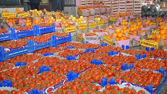 Gıda Krizi Tehlikesiyle Karşı Karşıya Kalabilir miyiz? Türkiye'nin Değerlendiremediği Tarım Politikaları!