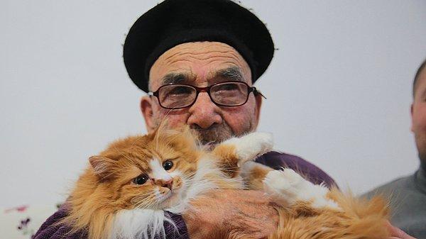 Kedileri köyde kalan Ali Dede'nin oğlu Ahmet Meşe'nin de kendisini sık sık köyüne götürmeyi ihmal etmediğini, gittiklerinde kedileri severek özlem giderdiğini söylüyor.