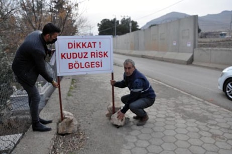 7 Kişiyi Isıran Köpekler Kuduz Çıktı: Bir Mahalle 6 Aylığına Karantina Altına Alındı