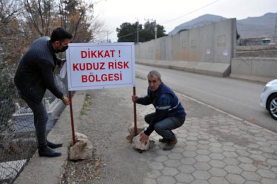 7 Kişiyi Isıran Köpekler Kuduz Çıktı: Bir Mahalle 6 Aylığına Karantina Altına Alındı