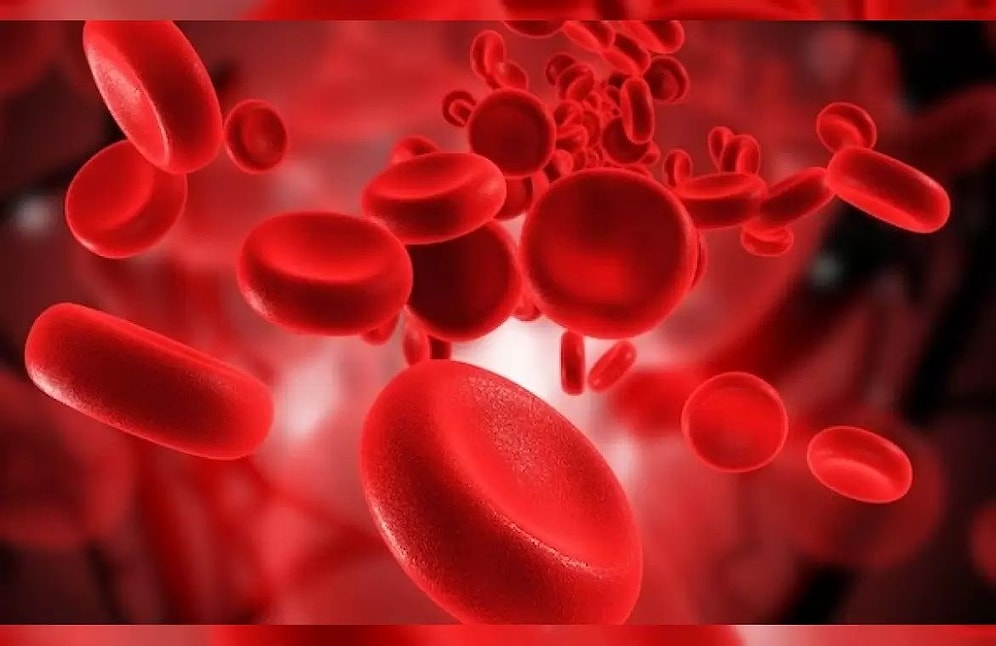 Kan Uyuşmazlığı Olursa Ne Olur?