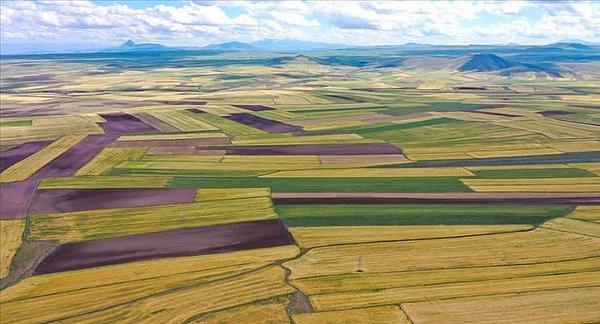 Türkiye, tarımdan zenginlik üretecek politikalar uygulamalı