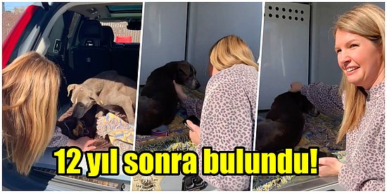 Mucize Köpek Zoey: 2010 Yılından Beri Kayıp Olan Köpek 12 Yıl Sonra Sahibine Kavuştu!