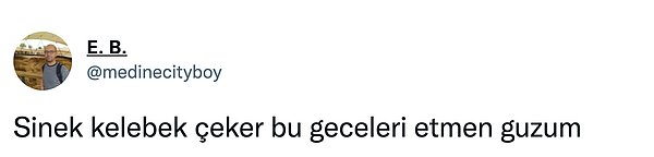 4. Sivrisinek saldırısını vücudumda hissettim bile.