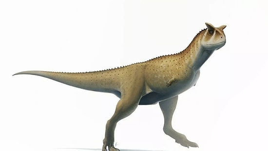 Arjantin'de 'Kolsuz' Dinozor Türü Keşfedildi