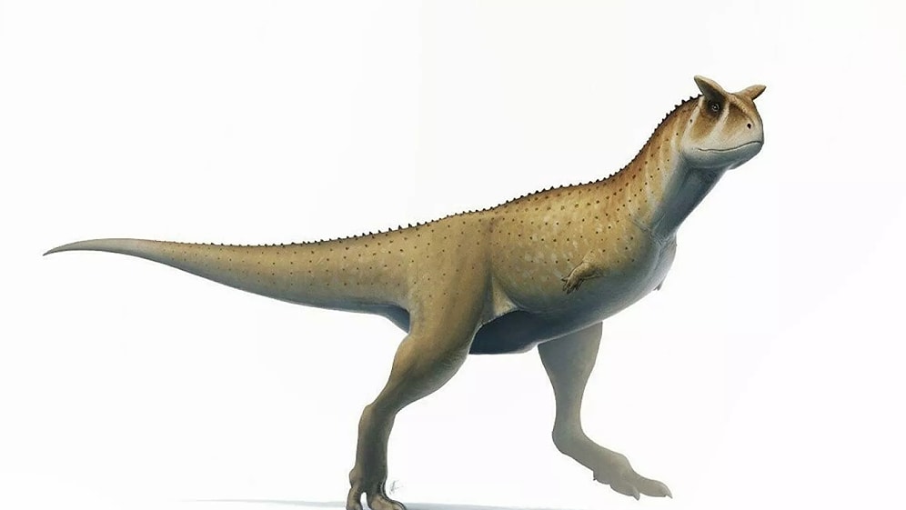 Arjantin'de 'Kolsuz' Dinozor Türü Keşfedildi