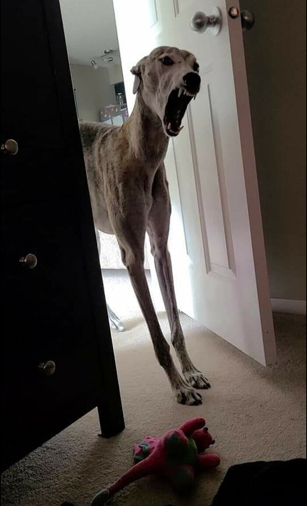 18. Мать! Я пришел по твою душу!