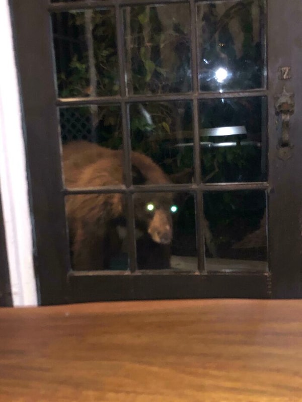 20. Тук-тук, можно к вам?