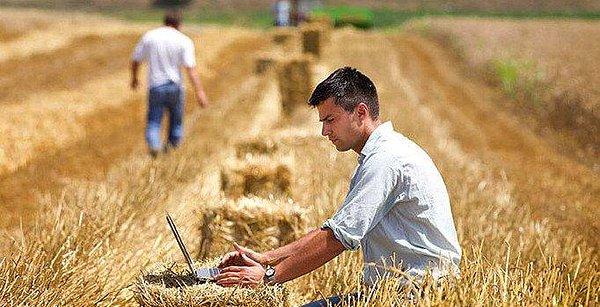 Ukrayna buğday ihracatının yüzde 95'ini Karadeniz üzerinden gerçekleştiriyor!