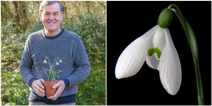 Rekor Kırdı! Bu Çiçek Açık Artırmada Kaç Paraya Satılmış Olabilir?