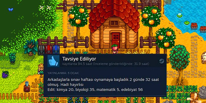 Steam'de Türkler Tarafından Yapılan ve Size Tebessüm Ettirecek Birbirinden Değişik 13 Oyun İncelemesi