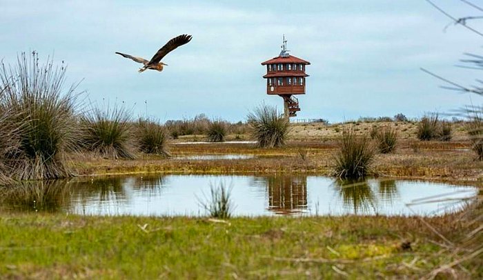 AKP'li Belediye UNESCO Dünya Mirası Listesinde Yer Alan Kuş Cennetine Otel Yapacak