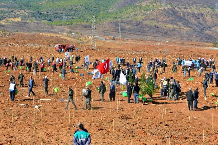 Mersin’de Yanan 9 Bin Hektar Ormana 35 Bin Fidan Dikildi