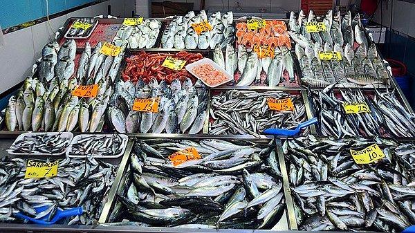 Şubat ayında tüketilebilen diğer balıklar ise: Hamsi, kefal, lüfer, palamut, uskumru, barbun, tekir, çipura, lahos ve kılıçtır.
