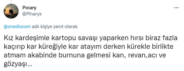 5. Hayatının bir döneminde yanlışlıkla kardeşinin burnunu kanatanlar el kaldırsın...