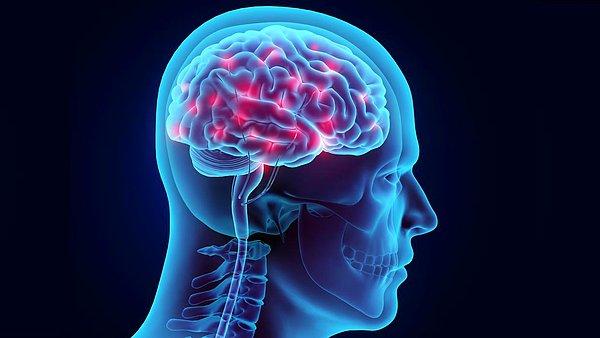 10. Hayatını kaybetmek üzere olan bir insanın beyin aktiviteleri bilim insanları tarafından ilk kez kayıt altına alındı!
