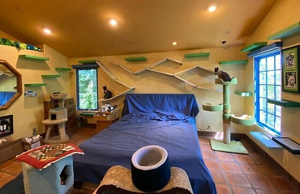 Питер, купивший дом в 1988 году, спроектировал его таким образом, чтобы удовлетворить все потребности спасенных им кошек