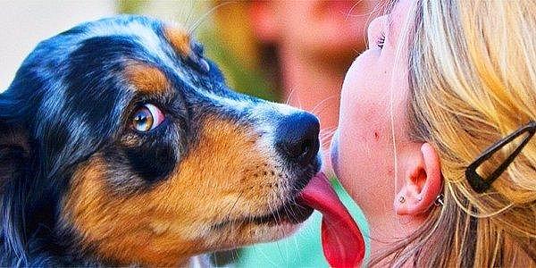 4. Bir insanı öptüğünüzde hastalık kapma ihtimaliniz bir köpeği öptüğünüzde hastalık kapma ihtimalinden fazladır.
