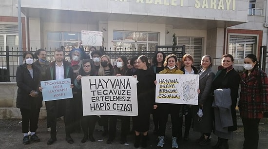 Köpeğe Cinsel İstismar Davasında Tepki Çeken Karar