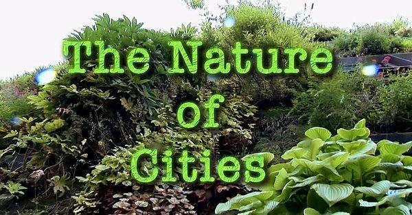 55. The Nature of Cities (2010)