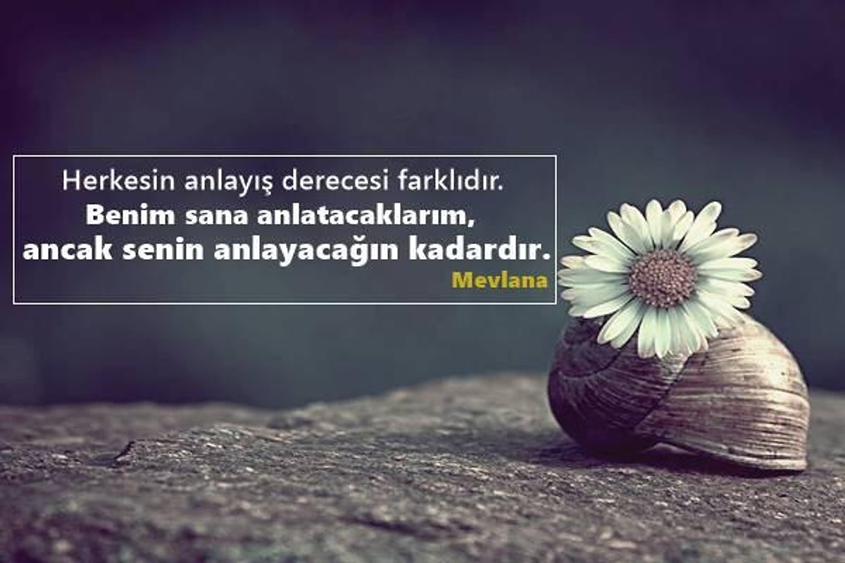 En G zel Anlaml zl S zler Hayatla lgili S zler Onedio En G zel Anlaml zl S zler Hayatla lgili S zler Onedio
