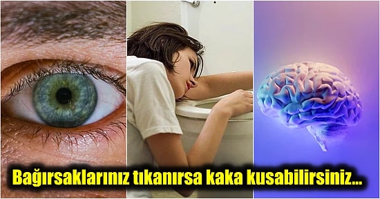 Öğrendikten Sonra Ortamlarda Satıp Karizmanın Dibine Vuracağınız Birbirinden İlginç 21 Gerçek