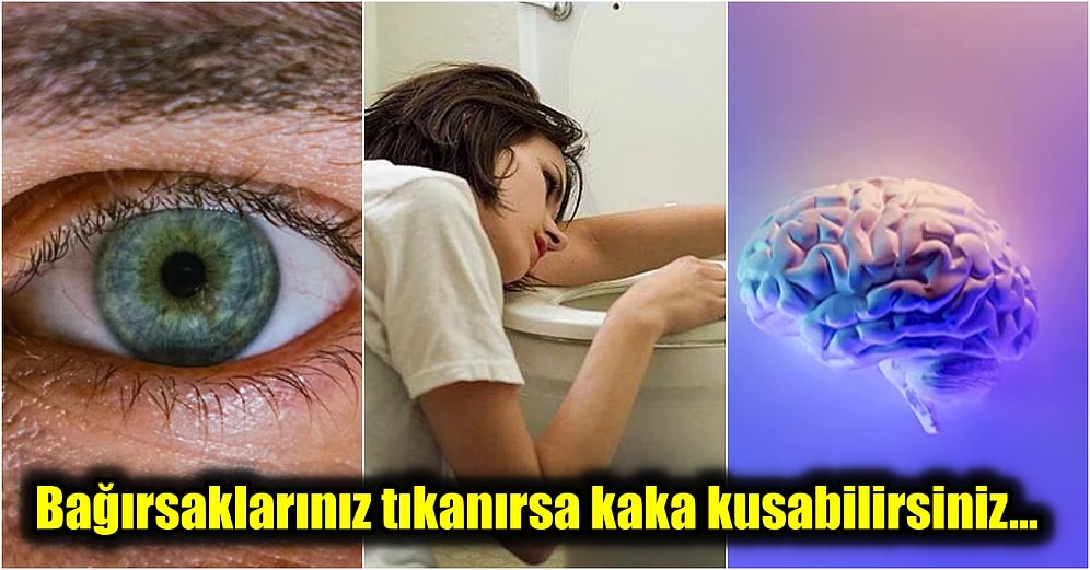 Öğrendikten Sonra Ortamlarda Satıp Karizmanın Dibine Vuracağınız Birbirinden İlginç 21 Gerçek