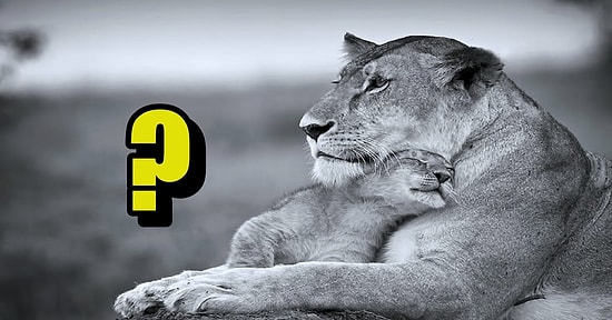 Kahve İçmeyi Bırakmak Dahil Hamile Olabileceğinizin 7 Şaşırtıcı Belirtisi